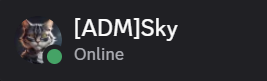 Профиль администратора в Discord: [ADM]Sky